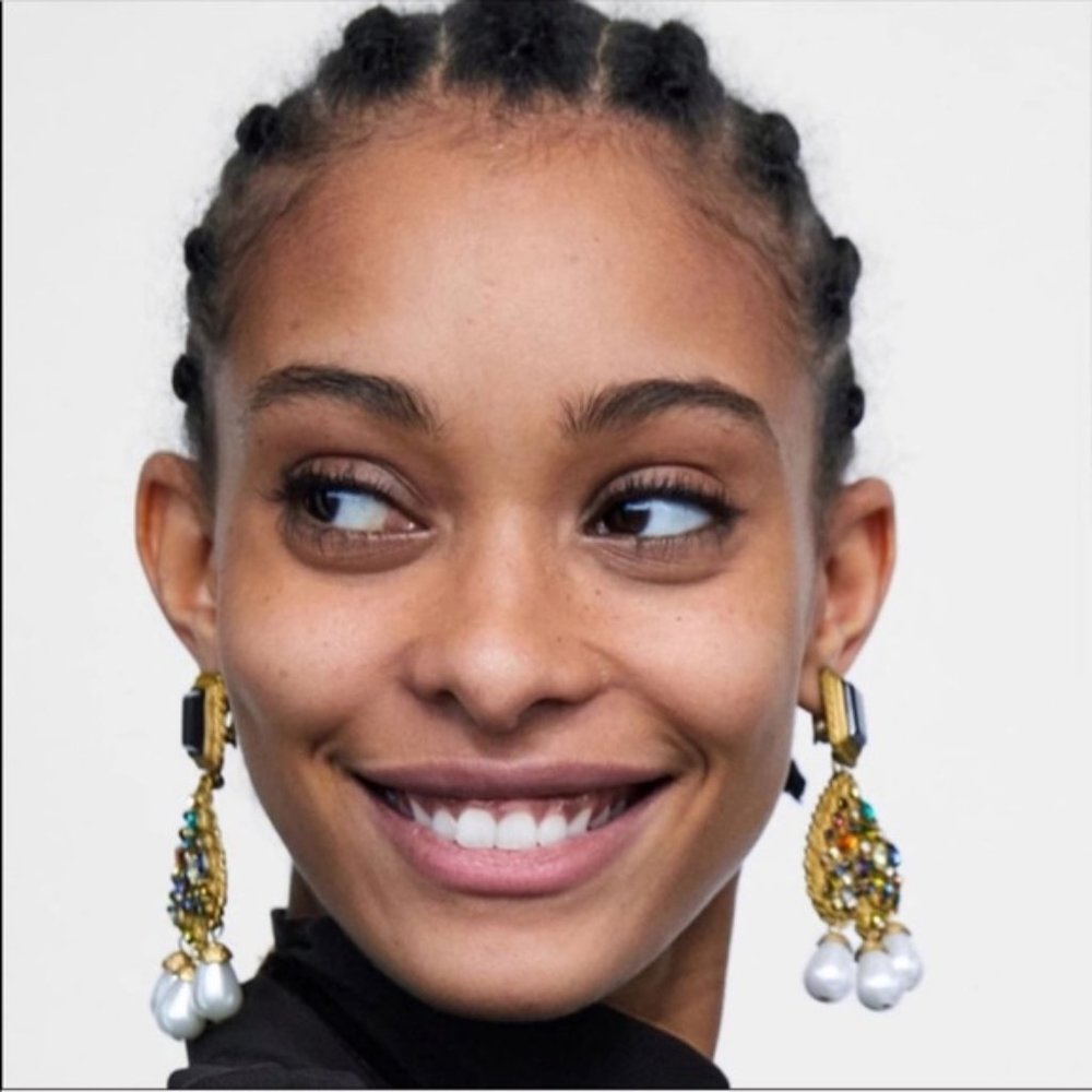 Zara Statement Earrings.